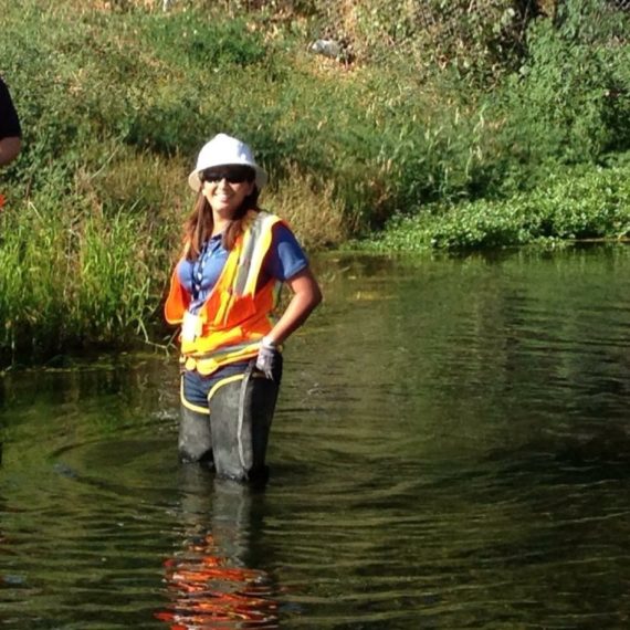 California Best Stormwater Management Plan