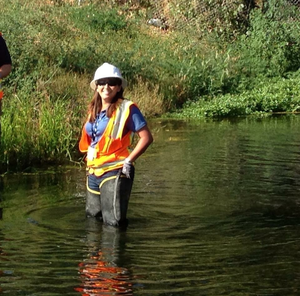 California Best Stormwater Management Plan