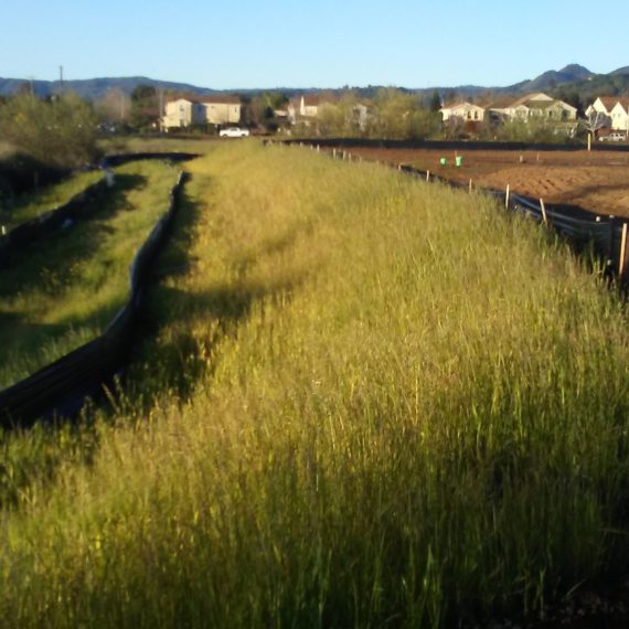 California Best Stormwater Management Plan