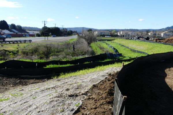 California Best Stormwater Management Plan